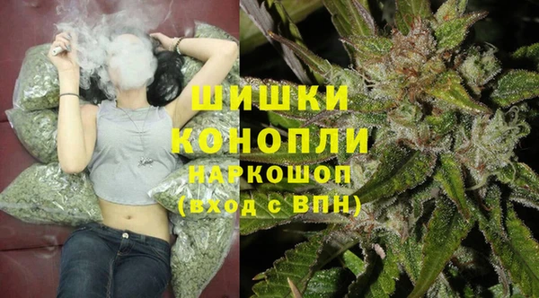 винт Бородино