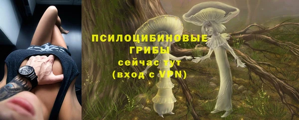 твердый Саяногорск