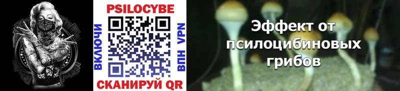 Псилоцибиновые грибы Cubensis Новокубанск
